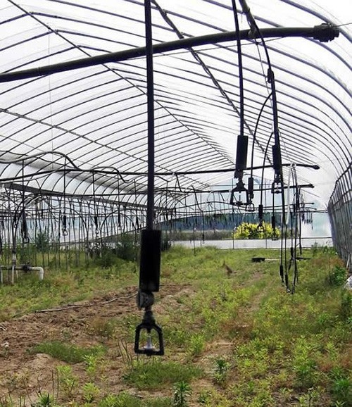 大棚吊管噴灌應(yīng)用案例